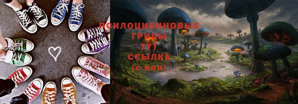 стаф Балахна