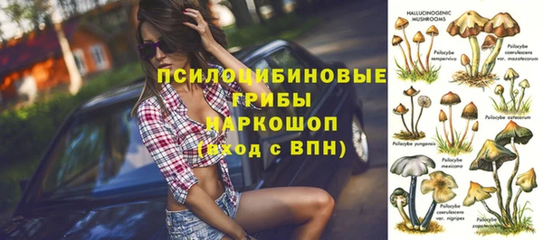 стаф Балахна