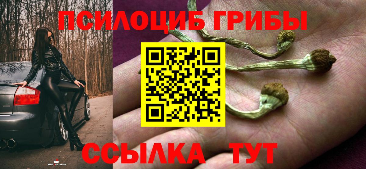 Псилоцибиновые грибы мухоморы  Псилоцибиновые грибы Psilocybe  Донской  Вход с VPN 