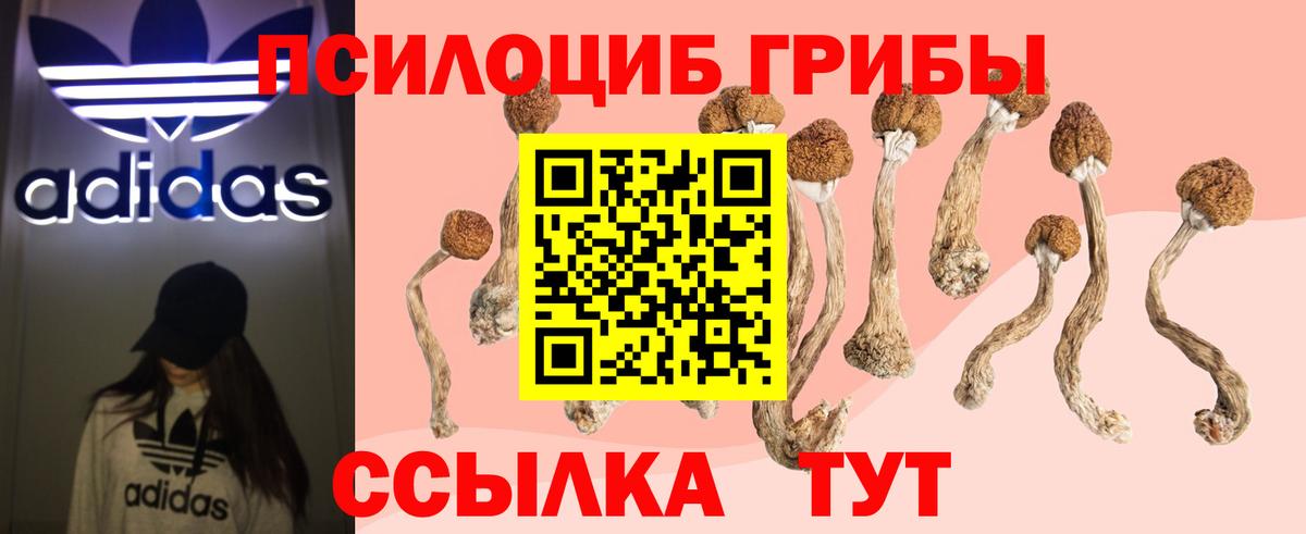 Галлюциногенные грибы Cubensis Донской