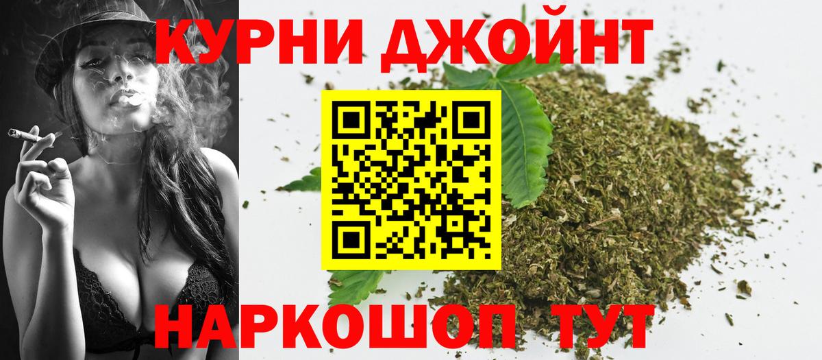 Конопля SATIVA & INDICA Донской